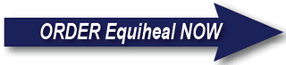 Order Equiheal Now