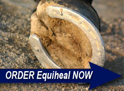 Order Equiheal Cream